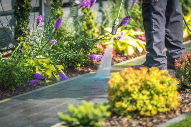 Best Patio and Deck Pressure Washing  in Brusly, LA